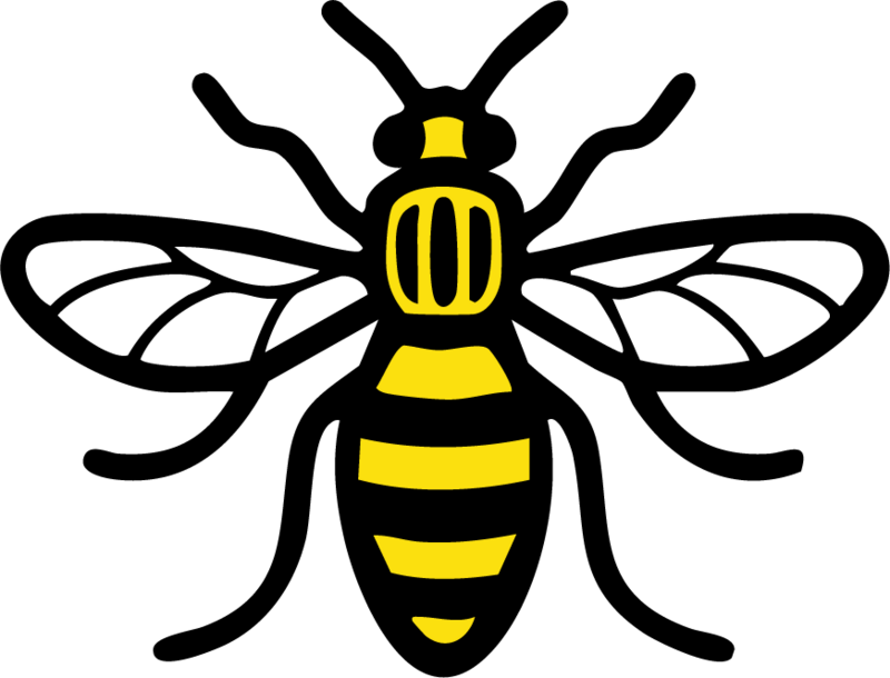 A cartoon picture of a bumblebee