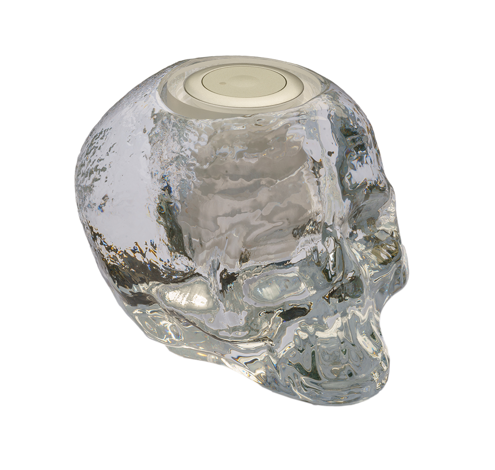 CST Call Buttons. EasyCall Silver button in crystal skull base