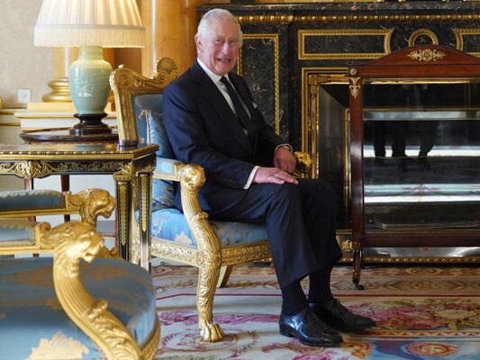 King Charles sat by the fireplace with a Call Systems Technology Call Button next to him